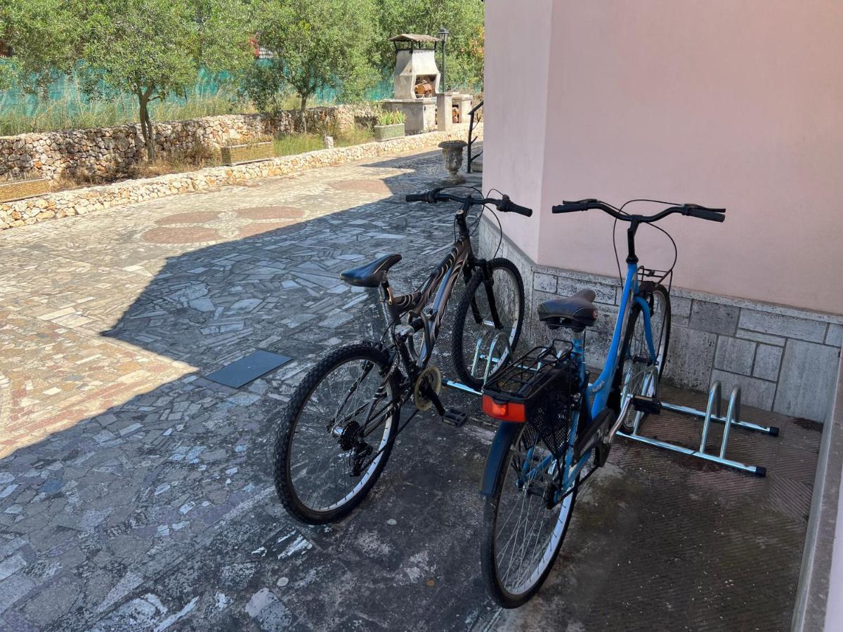 Villa L'Ottagono Con Cucina Parcheggio Privato Telecamerizzato E Wifi Джоя-дель-Колле Экстерьер фото